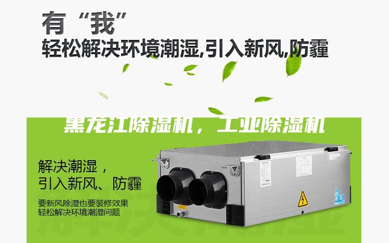 黑龍江除濕機(jī)，工業(yè)除濕機(jī)