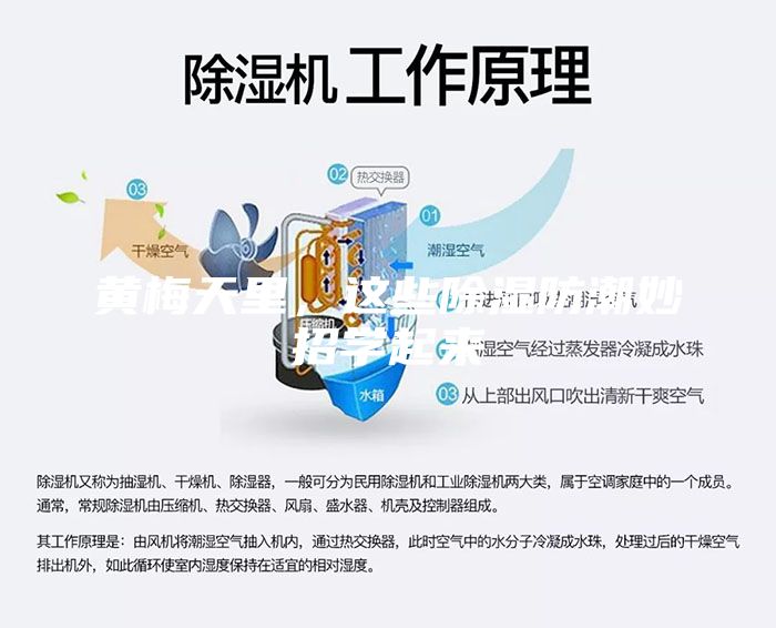 黃梅天里,這些除濕防潮妙招學(xué)起來